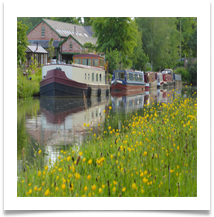 Outringham Summer - Carol Sparkes 